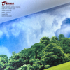 Digital Inkjet-Pearl Cloth